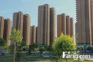 石家庄怎么查个人房产