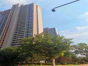 济南保利房产怎么样