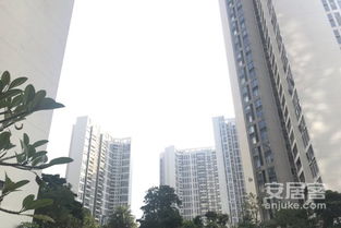 房产中介怎么策房源