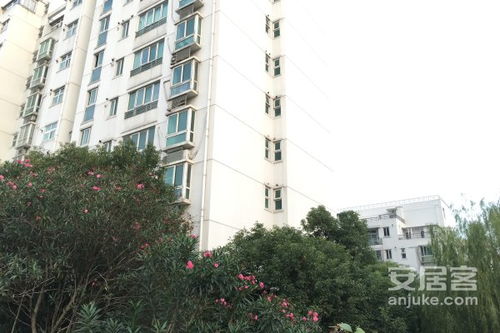 黄山小米房产怎么样