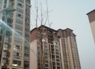 房产网签怎么解约