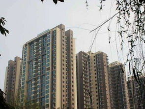 绵阳远程房产怎么样