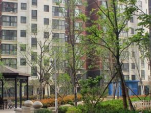 怎么小区房产销售信息