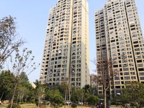 梦居房产怎么样