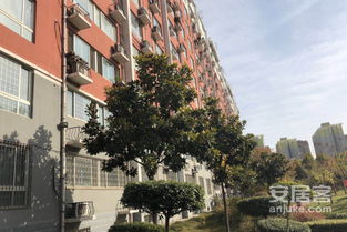 郑州东家房产怎么样 郑州东家房产怎么样