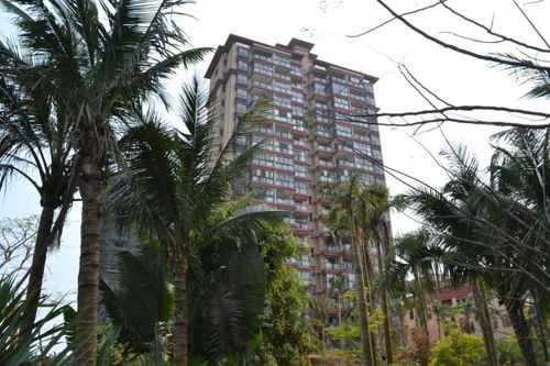 房产解说小区绿化怎么写