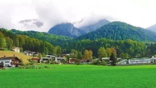 农田转建设房产怎么转