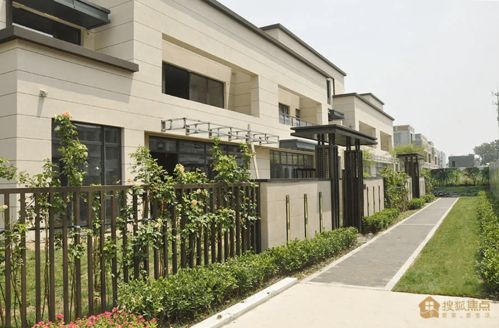 大独院房产介绍怎么写好