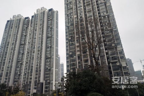 玖创房产怎么样 玖创房产怎么样