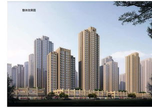 专注优质房产怎么样