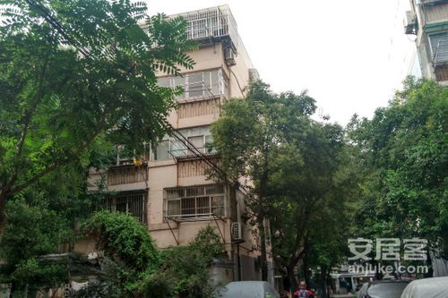 安国霸占房产怎么处理的