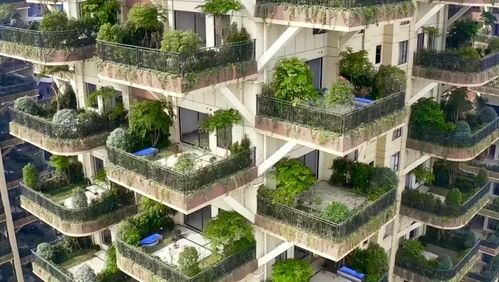 抖音拍房产怎么介绍园林