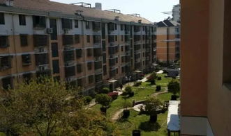 沭阳诚信房产怎么样