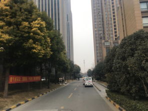 乐山空港房产怎么样