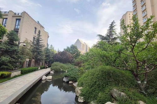 丽水鸿福房产怎么样 丽水鸿福房产怎么样