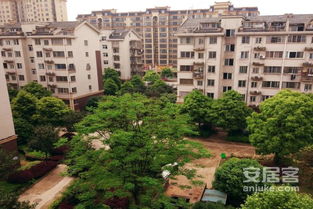 鄱阳房产性价比怎么样