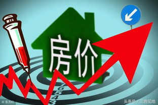 小于介绍房产怎么办