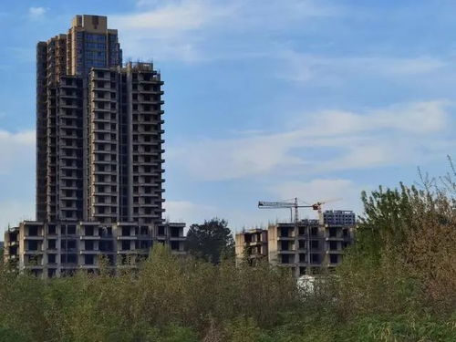 龙里烂尾房产怎么样