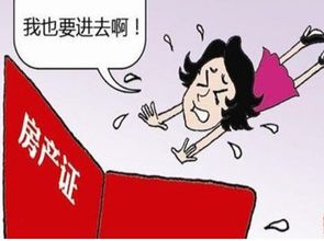 怎么按出资比例分割房产