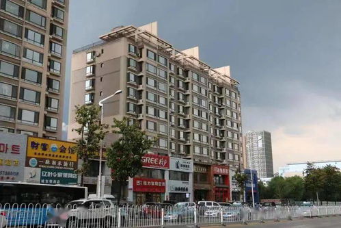 抚顺房产怎么拍卖的呀