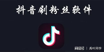 房产怎么通过抖音赚钱