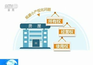 房产自媒体团队怎么搭建