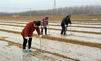 拆迁外嫁女怎么分房产