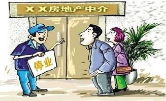 房产中介怎么年审的