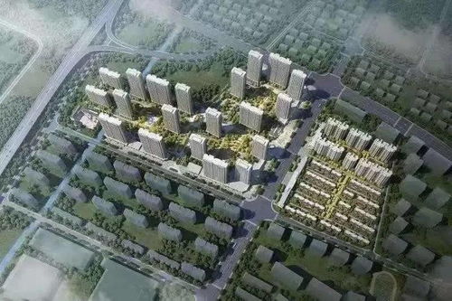 小升初里房产性质怎么填