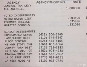 大连房产税怎么缴纳