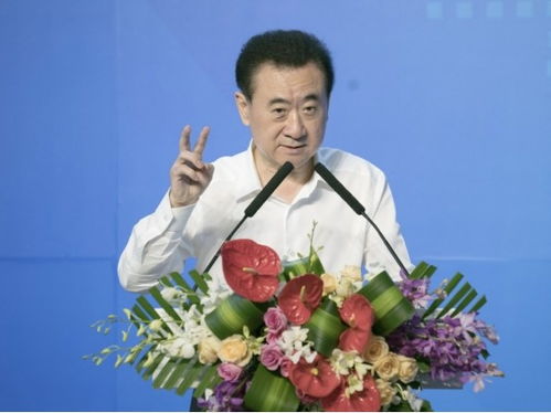 王健林投资房产怎么样