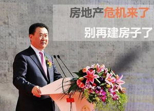 王健林投资房产怎么样