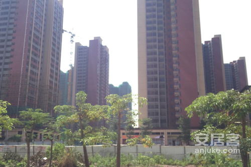 莒县恋家房产怎么样