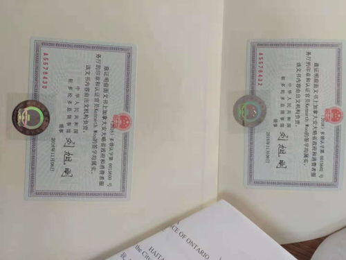 怎么办理房产受权书