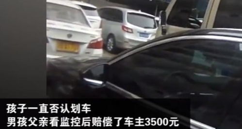 怎么查别人房产和车辆