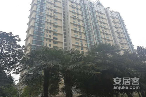 凤凰房产武汉怎么样