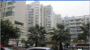 温州房产信息怎么查