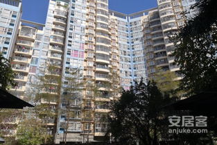 金黄埔房产怎么样