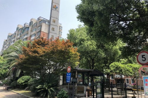 安阳鹏程房产怎么样 安阳鹏程房产怎么样