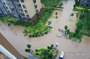 泉祥房产怎么样