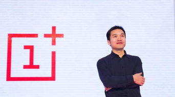 房产总裁采访内容怎么写