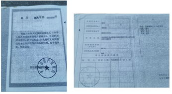 怎么判断是不是包销房产 怎么判断是不是包销房产