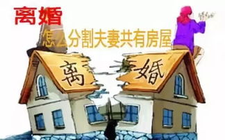 房产继承哥俩怎么分配的