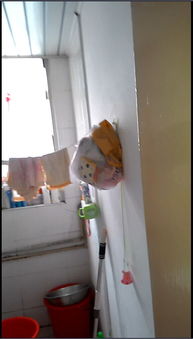 房产达人小浴室怎么进去