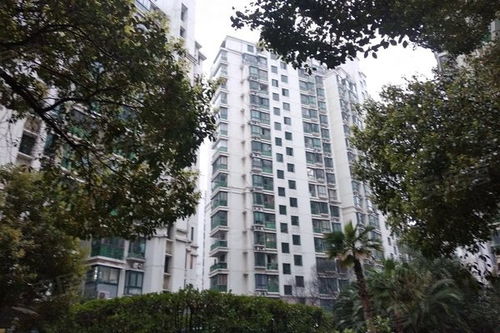 凤冈阿豪房产怎么样