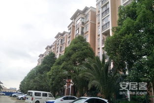 曲靖陈莉房产怎么样