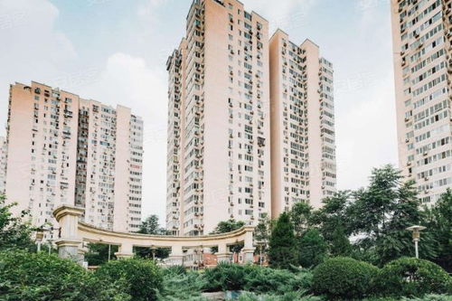 安家极致房产怎么样