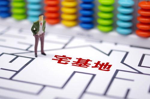 房产分割确权后怎么执行