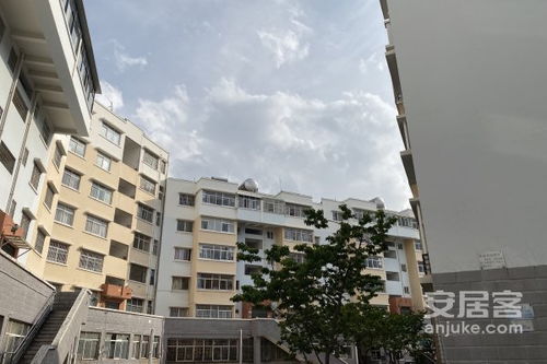 龙苑小区怎么过户房产