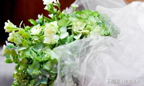 去世母亲名字房产怎么卖